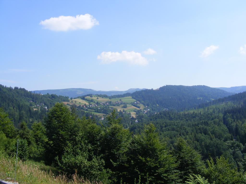 Rezydencja Prezydenta Rp Zamek W Wisle Wisła Eksteriør bilde